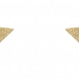 Reusable Nipple Pasties -Gold Star
