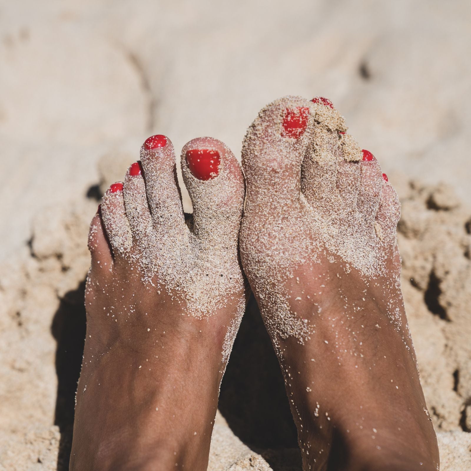 Sexual Wellness Beyond the Bedroom: The Holistic Approach