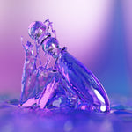 Cecii glass dildo by Biird in water