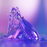 Cecii glass dildo by Biird in water